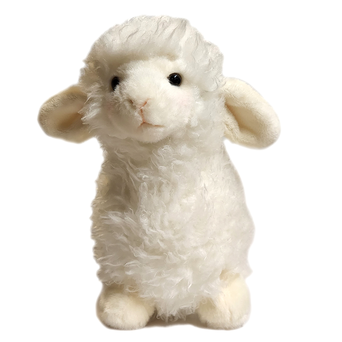 Lamb Toula 